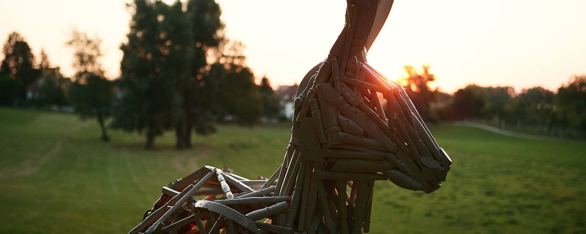 i_20151112-133438-30.jpg